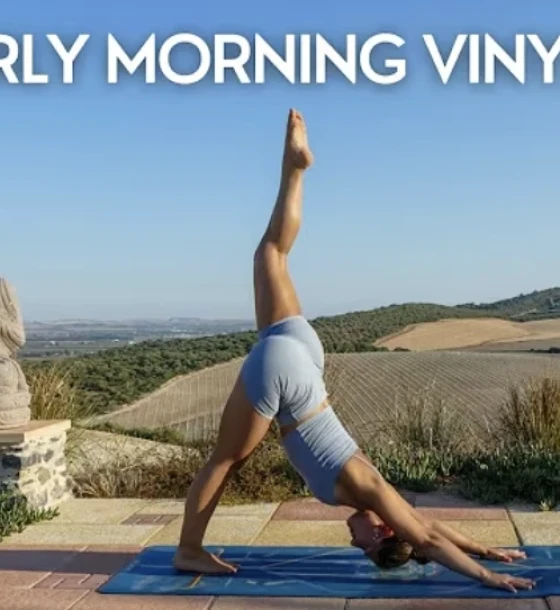 A person in a vinyasa flow yoga pose at sunrise.